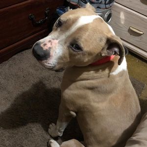 Meet your Posher, Tim